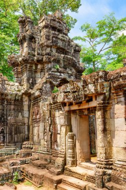 Antik Angkor 'daki Ta Prohm tapınağının gizemli kalıntıları, Siem Reap, Kamboçya. Angkor popüler bir turistik merkezdir..