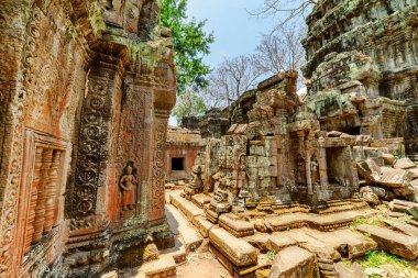 Antik Angkor 'daki Ta Prohm tapınağının gizemli kalıntıları, Siem Reap, Kamboçya. Angkor popüler bir turistik merkezdir..
