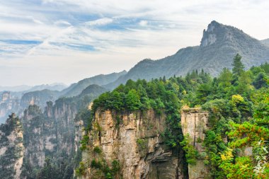 Çin 'in Hunan Eyaleti' ndeki Zhangjiajie Ulusal Orman Parkı 'ndaki Tianzi Dağları' nın (Avatar Dağları) doğal kuvars sütunları. Yaz manzarası.