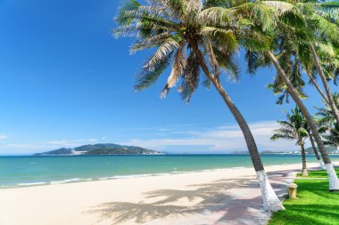 Güney Çin Denizi 'nin Nha Trang Körfezi' nin muhteşem manzarası ve Vietnam 'ın merkez plajı. Kıyıdaki palmiye ağaçları ve tropikal plajlar. Hon Tre Adası arka planda görünüyor..