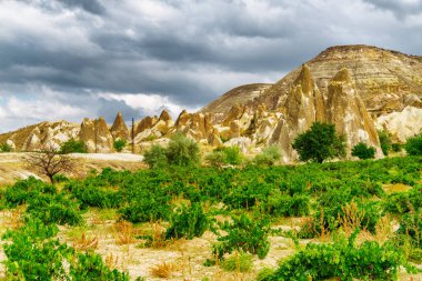Türkiye 'nin Kapadokya kentindeki Pasabag Vadisi' ndeki kaya oluşumlarının muhteşem manzarası. Goreme Tarihi Ulusal Parkı 'nın muhteşem manzarası. Kapadokya Türkiye 'nin popüler bir turizm beldesi.