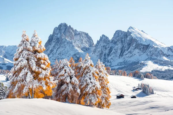 Paesaggio Pittoresco Con Piccola Baita Legno Sul Prato Dell Alpe — Foto Stock