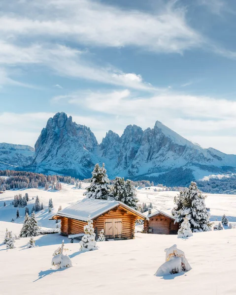 Gün doğumunda Alpe di Siusi otlağında küçük ahşap kulübe olan resimli manzara. Seiser Alm, Dolomitler, İtalya. Karlı tepeler turuncu tarla kuşu ve Sassolungo ve Langkofel dağları grubu