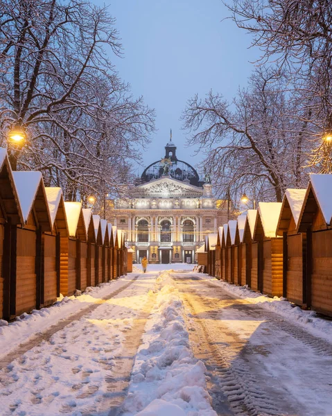 Solomiya Krushelnytska Lviv Állami Opera Balettszínház Télen Fából Készült Karácsonyi — Stock Fotó
