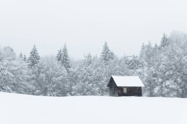 Karlı dağlarla, ağaçlarla ve ahşap kulübelerle muhteşem bir manzara. Karpat Dağları, Ukrayna, Avrupa