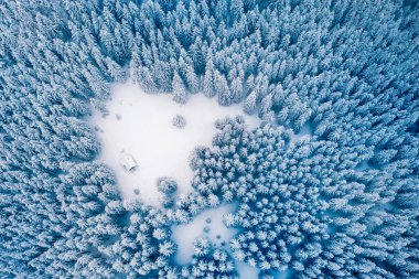 Aşağı doğru uçan insansız hava aracı çam ve çam ormanlarının üzerinde uçuyor. Dağlardaki firavun ağaçları karla kaplı. Peyzaj fotoğrafçılığı