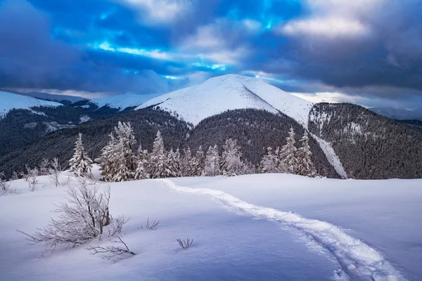 美丽的冬季风景 全景尽收眼底 长满了雪树和雪峰 乌克兰喀尔巴阡山 圣诞节背景 景观摄影 — 图库照片
