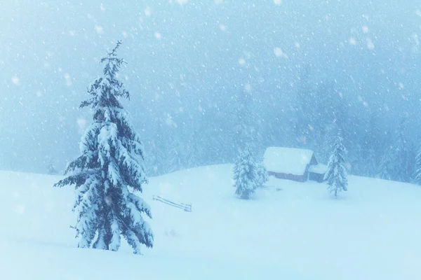 Φανταστικό Τοπίο Χιονισμένα Βουνά Δέντρα Και Ξύλινη Καμπίνα Καρπάθια Όρη — Φωτογραφία Αρχείου