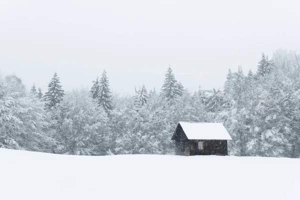 Fantastic Landscape Snowy Mountains Trees Wooden Cabin Carpathian Mountains Ukraine — Stock Photo, Image