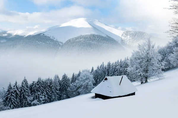 Fantastická Krajina Zasněženými Horami Stromy Dřevěnou Chatou Karpaty Ukrajina Evropa — Stock fotografie