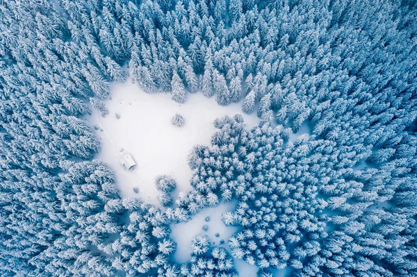 空中ドローンは冬のトウヒの上を飛んで 木製のキャビンで森を松 山の渓谷の雪で覆われたモミの木 風景写真 — ストック写真