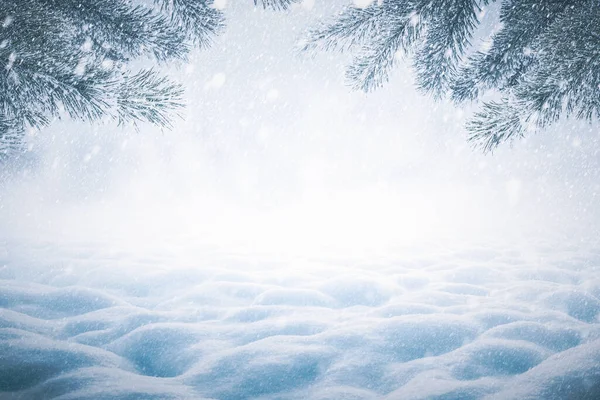 Зимний Рождественский Фон Снежными Сосновыми Ветвями Снежной Кучей — стоковое фото