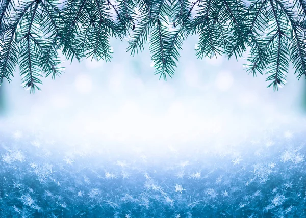 Téli Karácsonyi Háttér Havas Fenyő Ágak Fagyasztott Hópelyhek Halom Téli — Stock Fotó