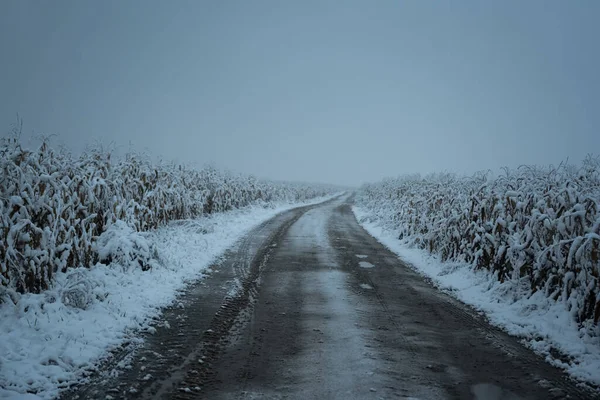 Snowy Road Kukuřičném Poli Zimním Čase Pohled Krajinu Filmová Fotografie — Stock fotografie