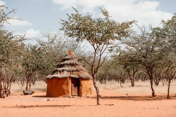 Closeup of traditional hut of himba tribes in Namibia, Africa. Tupical himbas people house from red clay and trees branches