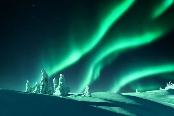 Aurora Borealis Northern Lights Winter Forest Sky Polar Lights Stars — Stock Photo, Image