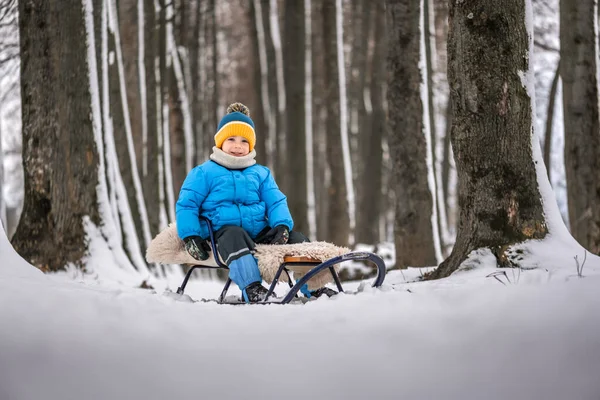 Cute Little Boy Sled Winter Park Kid Winter Clothes Playing — Stockfoto