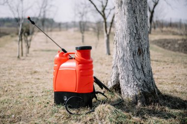 Bahar bahçesinde kırmızı sprey. Bahçıvanlık tarım kavramı