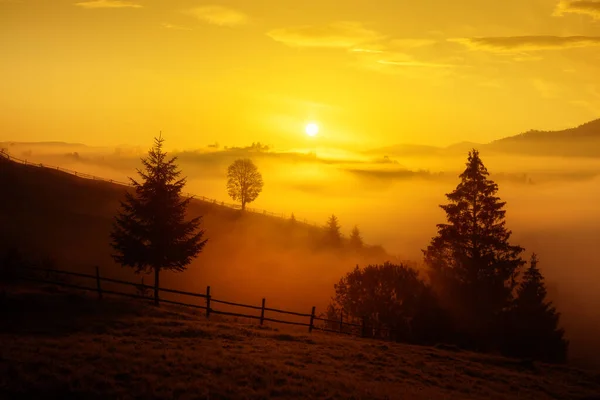 Malowniczy Krajobraz Wiejski Wiosennych Górach Drzewami Mgłą Niesamowite Złote Podświetlenie — Zdjęcie stockowe