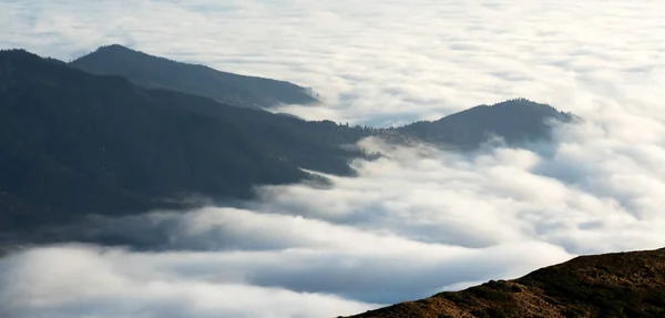 Increíble Niebla Matutina Las Montañas Primavera Hermoso Amanecer Fondo Fotografía —  Fotos de Stock