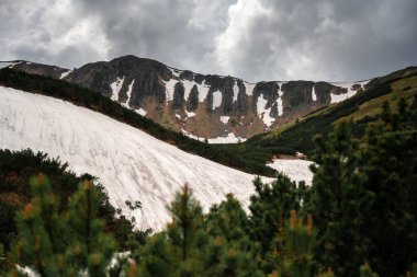 Ünlü Shpici, Ukrayna Karpatları 'nda rock yapıyor. Yeşil çamlar, karlı kayalar ve bulutlu dramatik gökyüzü. Karpat Dağları, Ukrayna. Peyzaj fotoğrafçılığı