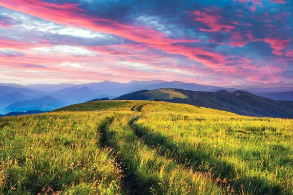 乡村的道路和美丽的粉红的天空 夏山奇景 黄昏时分 绿草如茵 草木茂盛 景观摄影 — 图库照片