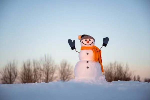 Funny Snowman Knitted Hat Yellow Scalf Hands Snowy Field Blue — 스톡 사진