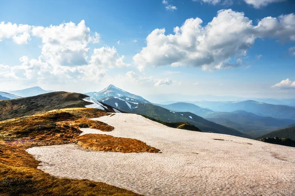 青空と夏の山 背景にオレンジのタソックスと雪の山と芝生の丘の景色 劇的な春のシーン 風景写真 — ストック写真