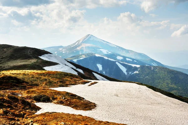 夏の時間に美しいカルパチア山脈 ウクライナだ ヨーロッパだ 風景写真 — ストック写真