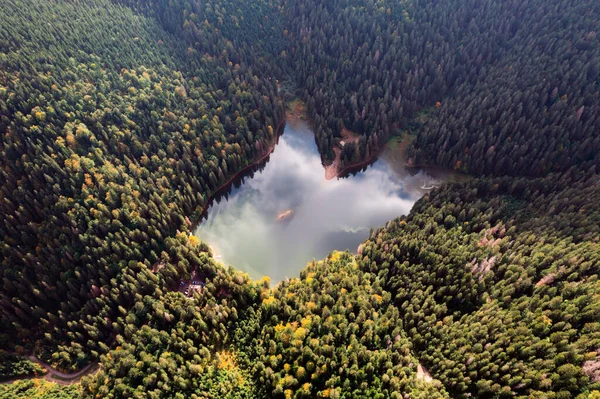 Vue Aérienne Lac Synevir Sauvage Dans Les Carpates Ukraine Foggy — Photo