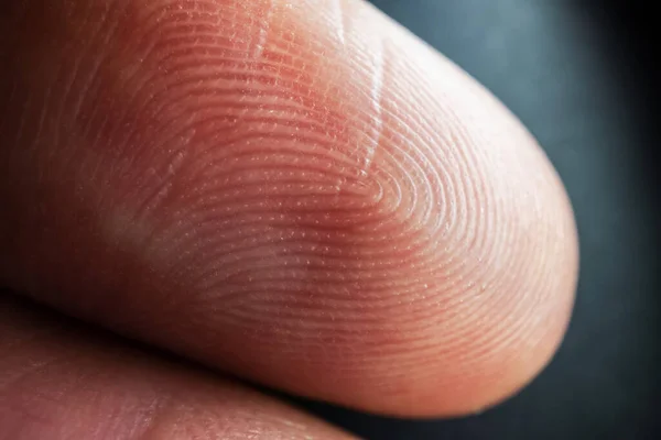 Fingeravtryck Struktur Finger Hud Närbild Makrofotografi — Stockfoto