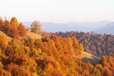 Eski ahşap kulübesi ve turuncu kayın ormanı olan resimli sonbahar dağları. Peyzaj fotoğrafçılığı