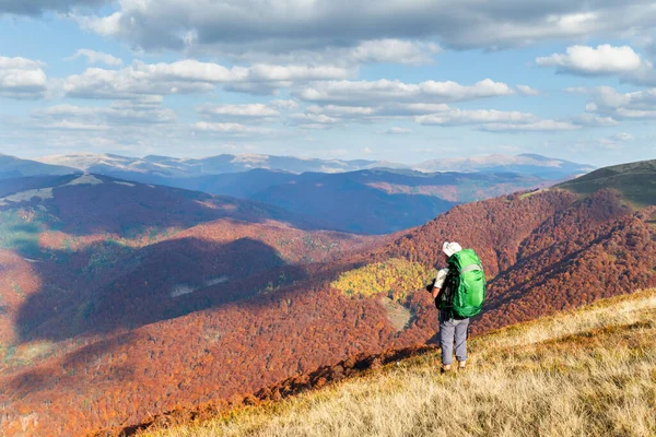 Toerist Zonnige Herfstbergen Bedekt Door Sinaasappelbeukenbos Oekraïense Karpaten Bergen Landschapsfotografie — Stockfoto