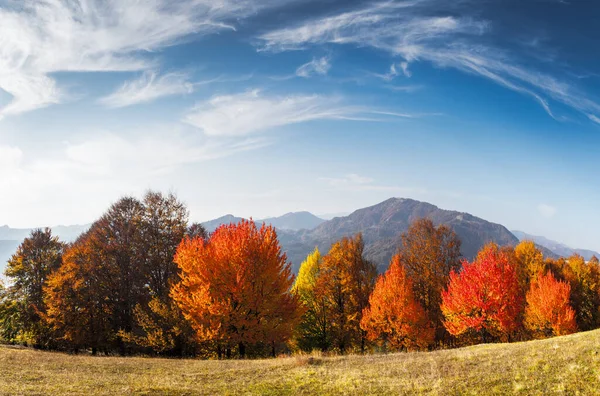 风景如画的秋山全景 以红毛丹森林为前景色 景观摄影 — 图库照片