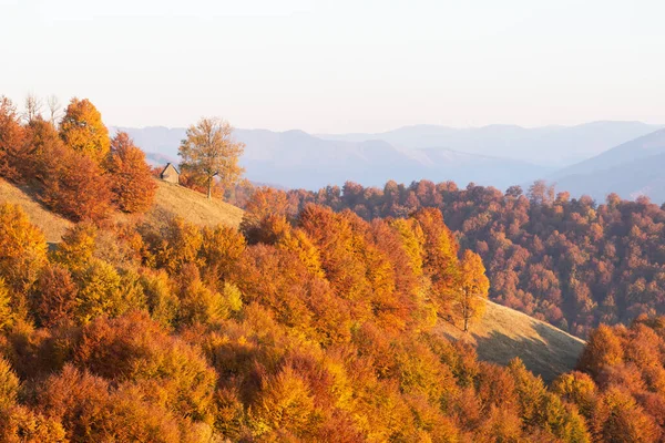 Eski Ahşap Kulübesi Turuncu Kayın Ormanı Olan Resimli Sonbahar Dağları — Stok fotoğraf