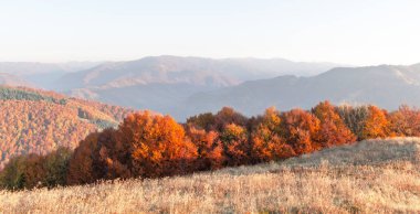 Sonbahar dağları, turuncu orman ve sarı çimenli panorama. Peyzaj fotoğrafçılığı