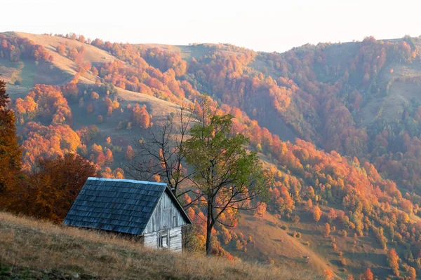 木製のキャビンと赤いブナの木が付いているハイランドの牧草地は 秋の山を覆いました ランドスケープ写真 — ストック写真