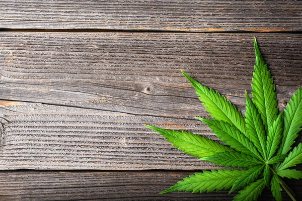 Hojas Verdes Cannabis Fresco Sobre Una Vieja Mesa Madera Antecedentes — Foto de Stock