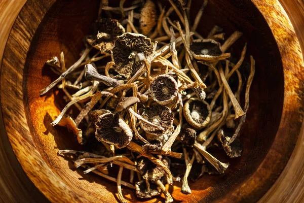 在木碗中烘干的致幻剂蘑菇 闭合在一起 精神活跃的Psilocybin Mushrooms 烤盘上的干燥室 — 图库照片