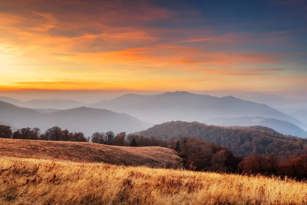 秋天的山 日落时 有橘红色的森林 景观摄影 — 图库照片