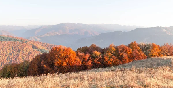 Panorama Jesiennych Gór Lasem Pomarańczowym Żółtą Trawą Fotografia Krajobrazu — Zdjęcie stockowe