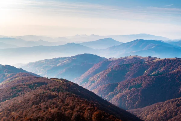 Een Herfst Bergen Variëren Met Rode Beuken Bos Mistige Heuvels — Stockfoto