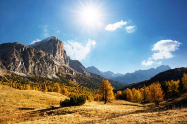 İtalyan Dolomite Alpleri 'nde muhteşem bir sonbahar manzarası var. Turuncu karaçam ormanları ve arka planda sisli dağlar. Dolomitler, İtalya. Peyzaj fotoğrafçılığı