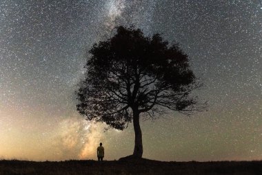 Gece tarlasında görkemli ağacın altında yalnız bir adamın silueti Samanyolu ile yıldızlı gökyüzünün arka planına karşı. Peyzaj fotoğrafçılığı