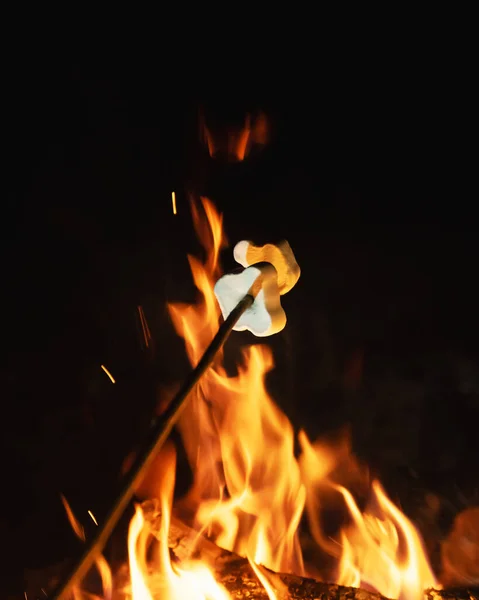 Marshmallows Auf Holzspießen Die Lagerfeuer Großaufnahme Gebraten Werden Lebensmittel Fotografie — Stockfoto