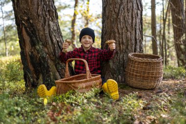 Sonbahar ormanlarında yaşlı çam ağaçlarının altında mantarlı küçük bir çocuk. Doğayı seven çocukluk kavramı