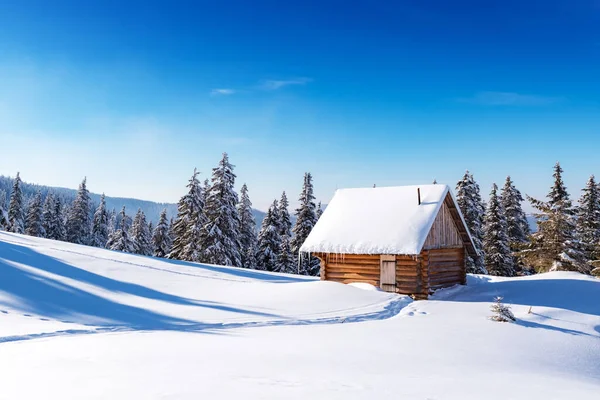 Bir dağ çayırı, karla kaplı çam ağaçları ve kırsal bir ahşap kulübesi olan kış manzarası. Arkaplanda açık mavi gökyüzü