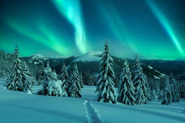 Aurora borealis. Kuzey ışıkları kış ormanında. Karla kaplı kozalaklarla dolu inanılmaz bir gece manzarası. Kışlık bir dağ açıklığında. Karda oyulmuş bir patika.