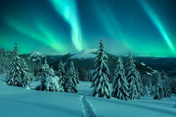 Aurora Borealis Kuzey Işıkları Kış Ormanında Karla Kaplı Kozalaklarla Dolu — Stok fotoğraf