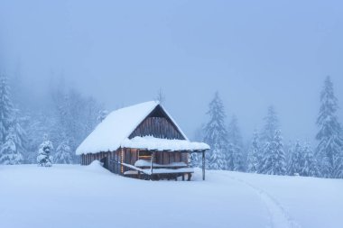 Kışın, ormandaki bir yaylada, köknar ağaçlarından oluşan karlı bir koruluğun ortasında ücra bir dağ kulübesi. Noel tatili ve kış tatili konsepti